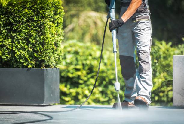 Best Dumpster Area Cleaning  in City View, SC